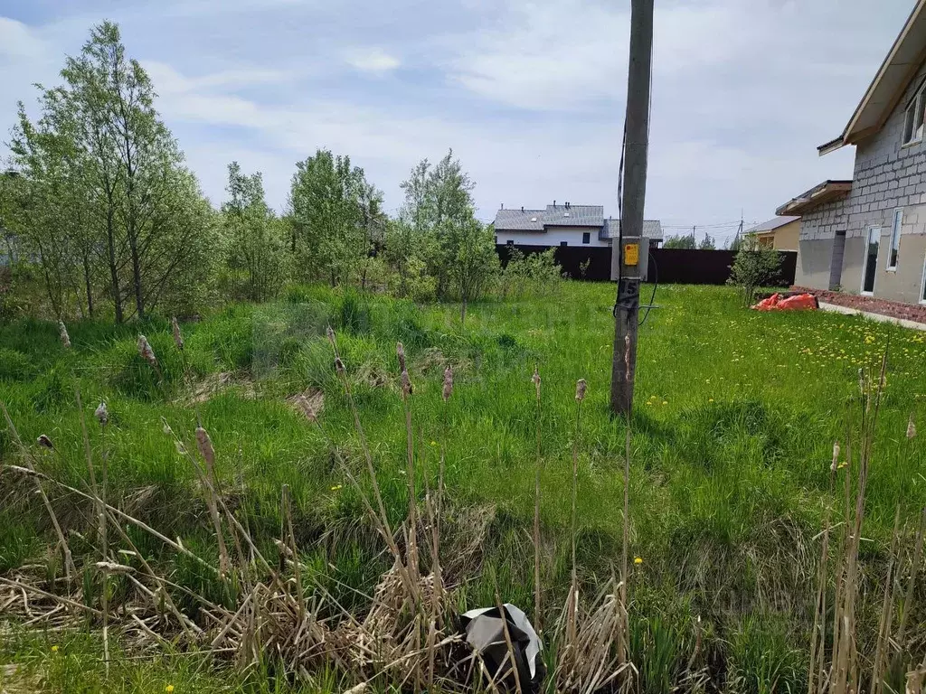 Участок в Новгородская область, Новгородский район, Ракомское с/пос, ... - Фото 0