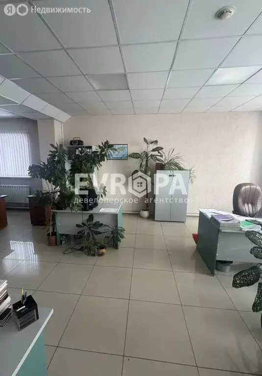 Офис (56 м) - Фото 1