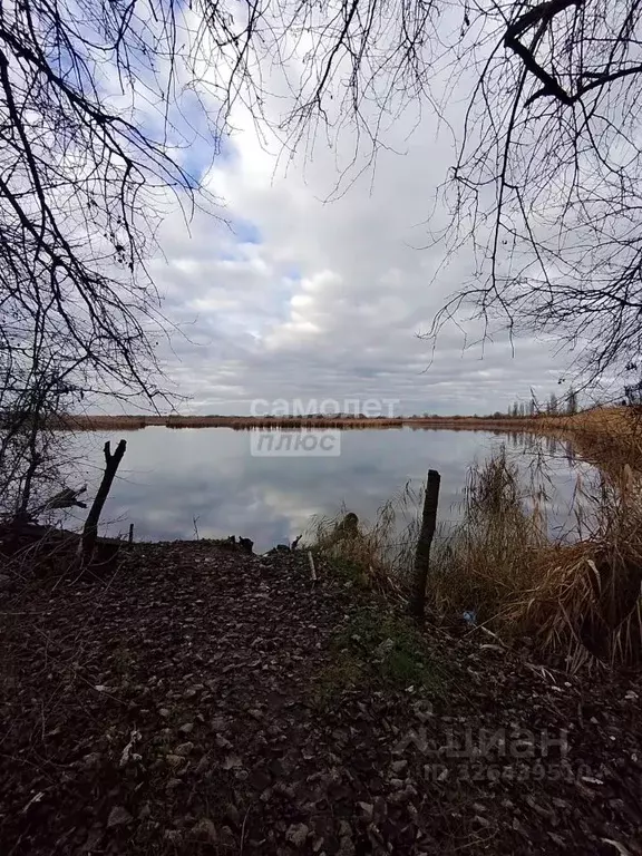 Участок в Краснодарский край, Тимашевск Приречная ул. (28.0 сот.) - Фото 2