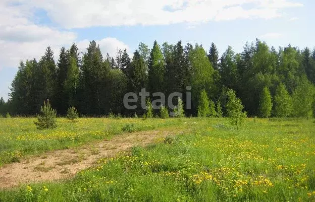 Участок в Пермский край, Лысьва Индустриальная ул., 48 (12.0 сот.) - Фото 1