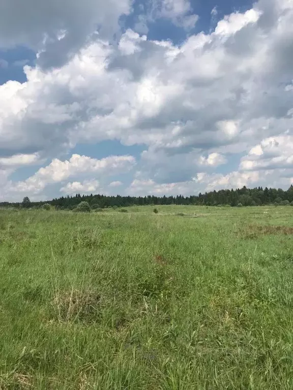 Участок в Московская область, Шаховская городской округ, с. Черленково ... - Фото 0