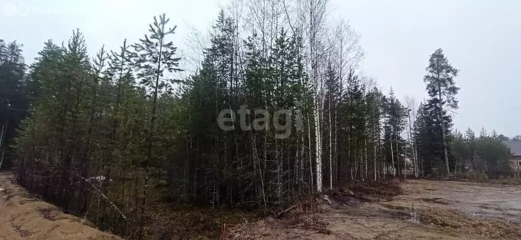 Участок в посёлок городского типа Верхняя Максаковка, 1-я Белоборская ... - Фото 0