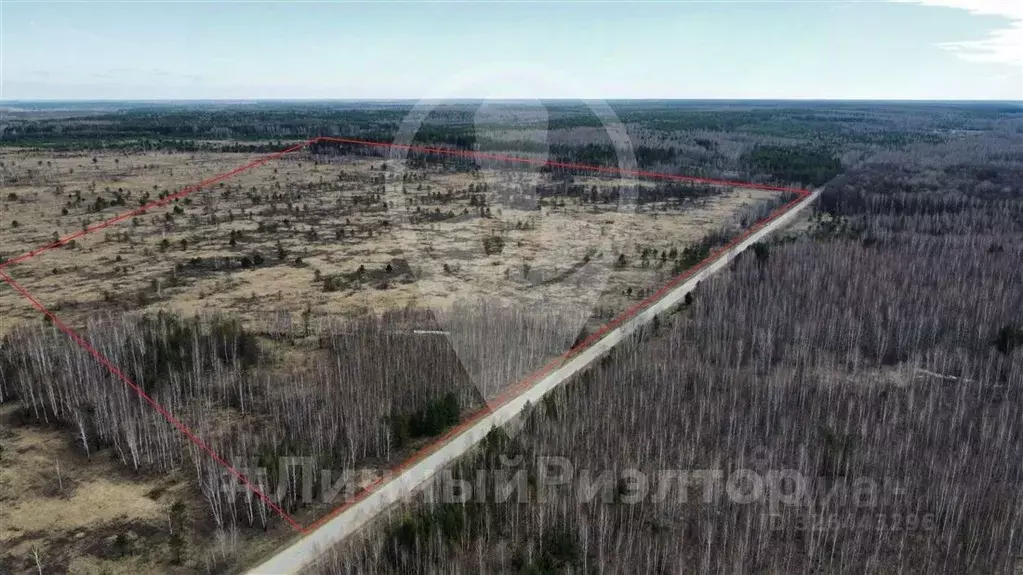 Участок в Рязанская область, Шиловский район, Тимошкинское с/пос, с. ... - Фото 2