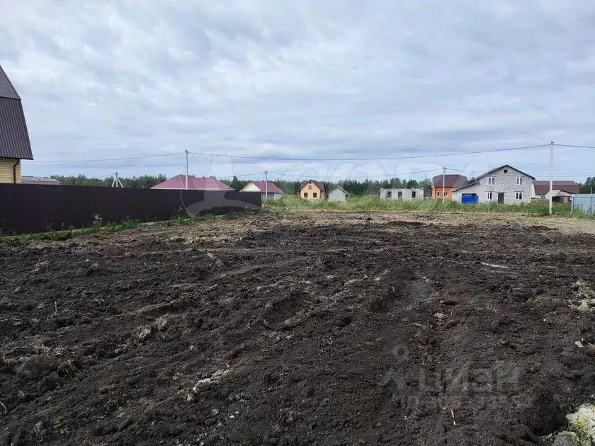 Участок в Тюменская область, Тюменский район, с. Червишево ул. ... - Фото 0