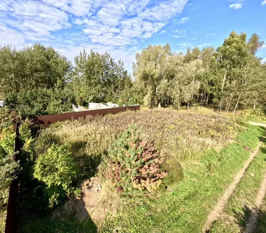 Участок в Московская область, Клин городской округ, д. Опалево 3А (4.0 ... - Фото 2