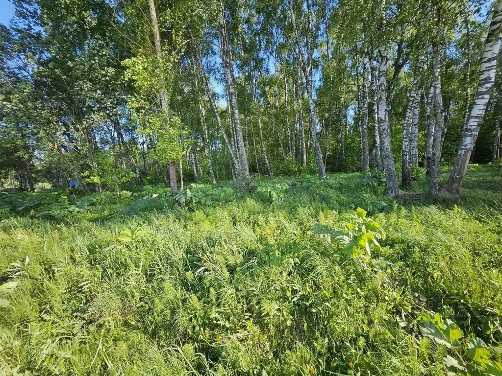Участок в Московская область, Домодедово городской округ, д. Минаево, ... - Фото 1