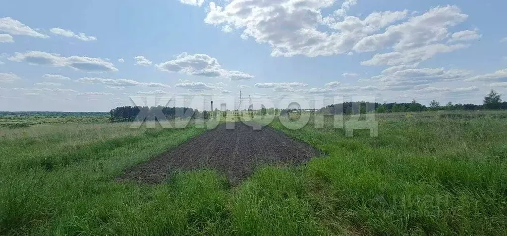 Участок в Брянская область, с. Жирятино ул. Возликова (15.0 сот.) - Фото 1
