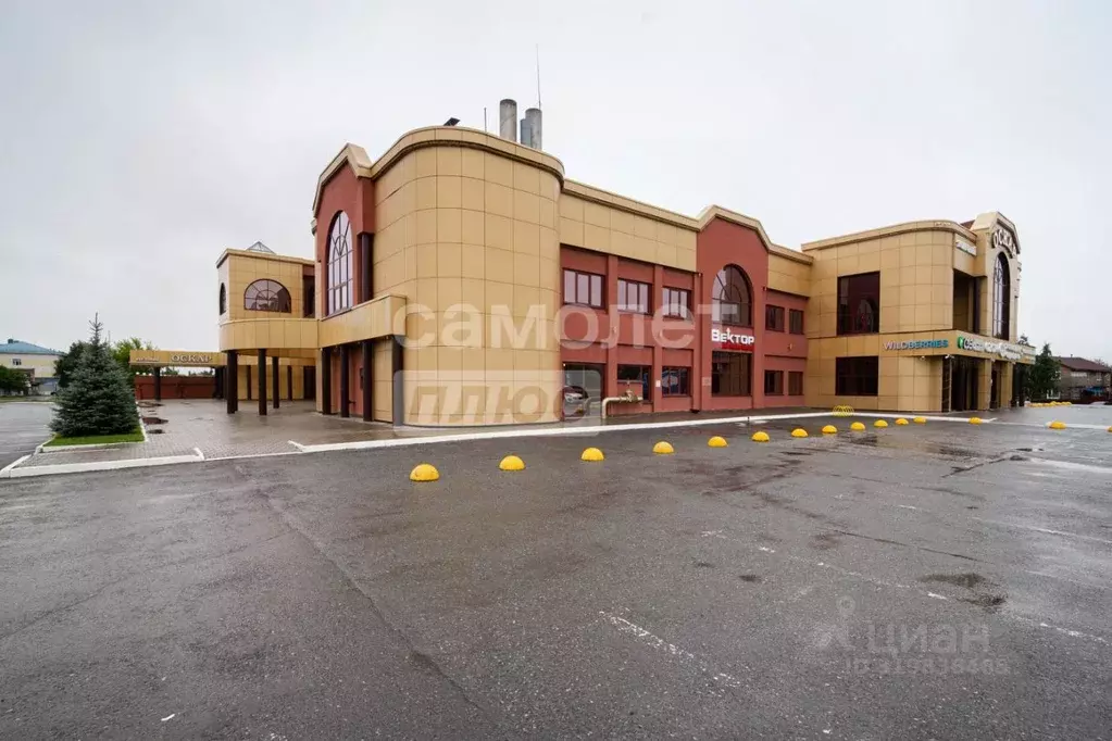 Торговая площадь в Омская область, Омск ул. Дианова, 39 (200 м) - Фото 0