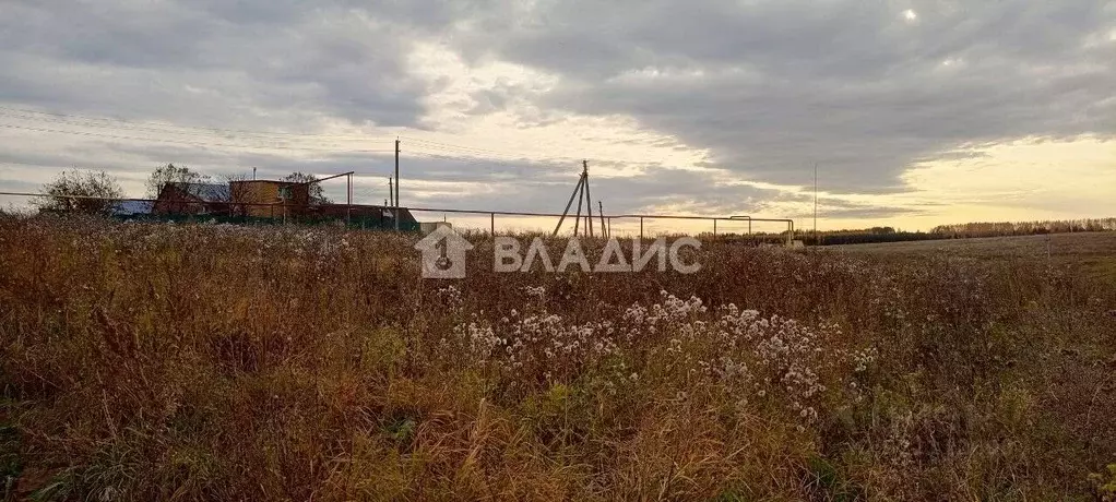 Участок в Татарстан, Высокогорский район, Березкинское с/пос, с. ... - Фото 1