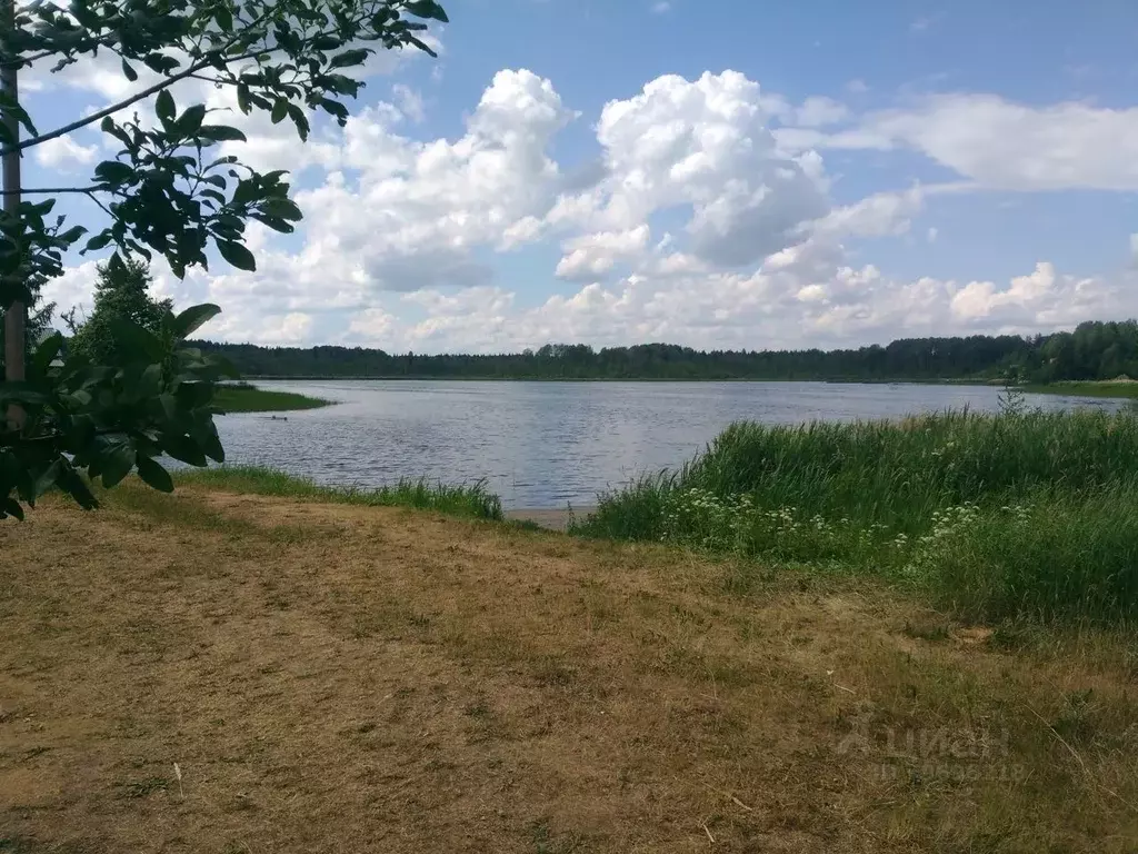 Участок в Ленинградская область, Гатчинский район, Рождественское ... - Фото 1