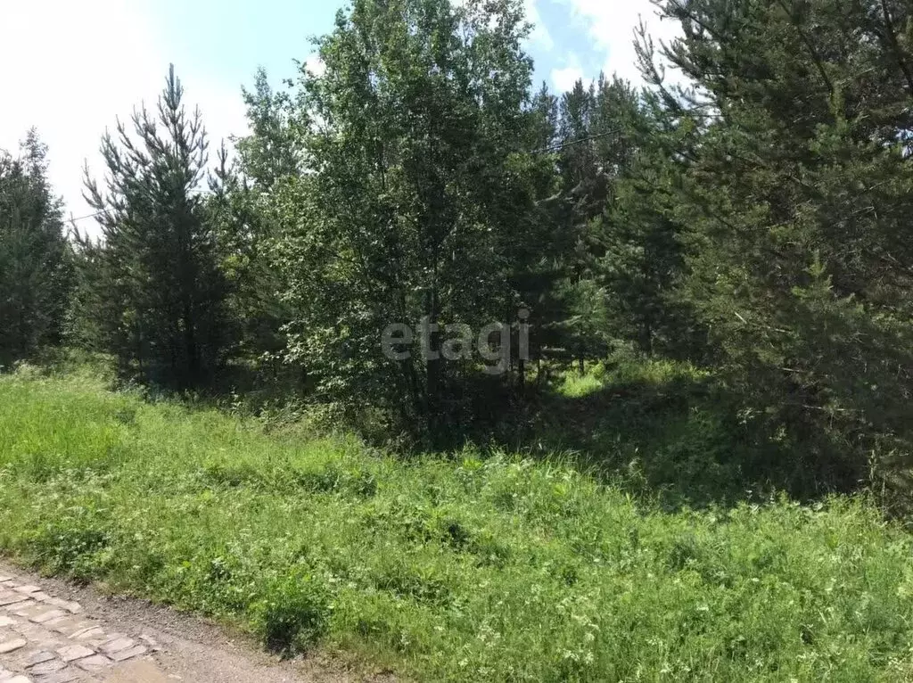 Участок в Нижний Тагил, Ленинский район, микрорайон Пырловка (6 м) - Фото 0