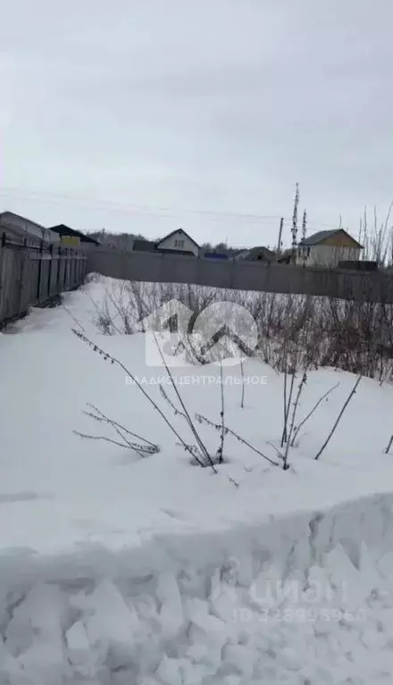 Участок в Новосибирская область, Новосибирский район, Толмачевский ... - Фото 2