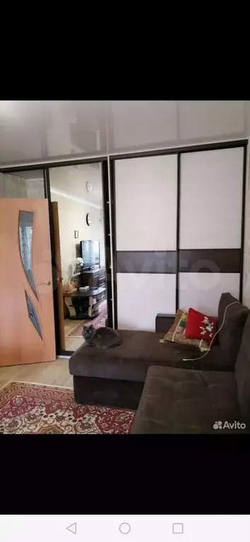 1-к. квартира, 32 м, 4/5 эт. - Фото 1