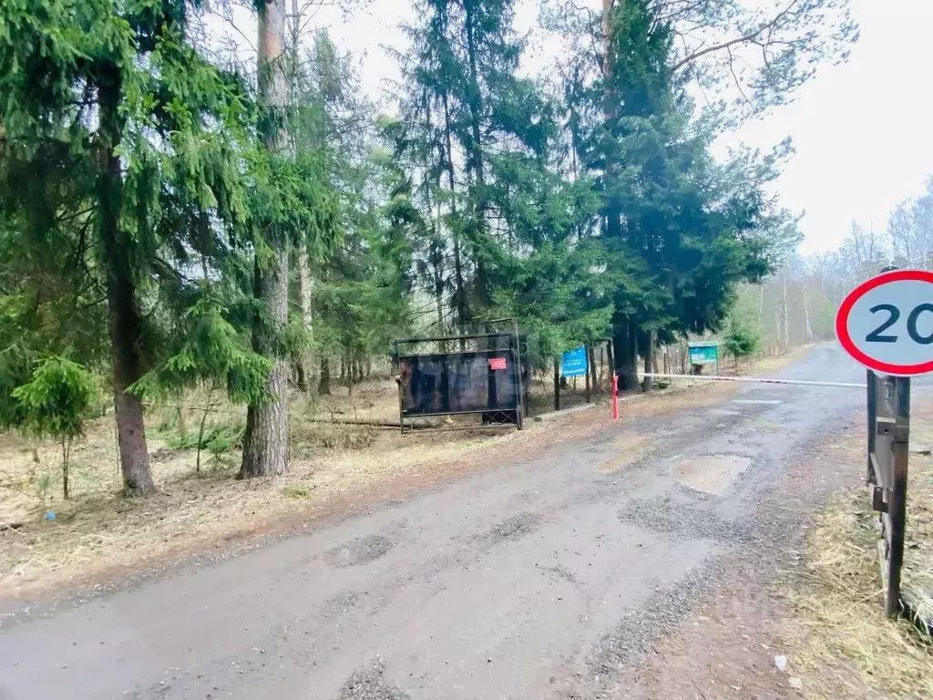 Участок в Московская область, Богородский городской округ, Березка ... - Фото 0