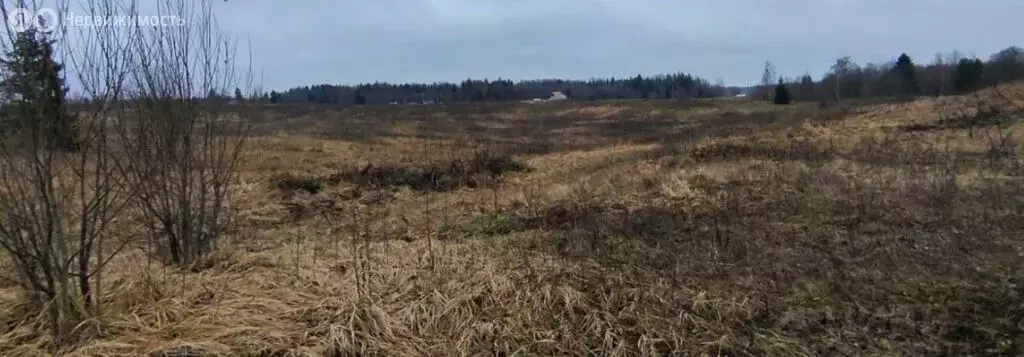 Участок в Волосовский район, Бегуницкое сельское поселение, деревня ... - Фото 1
