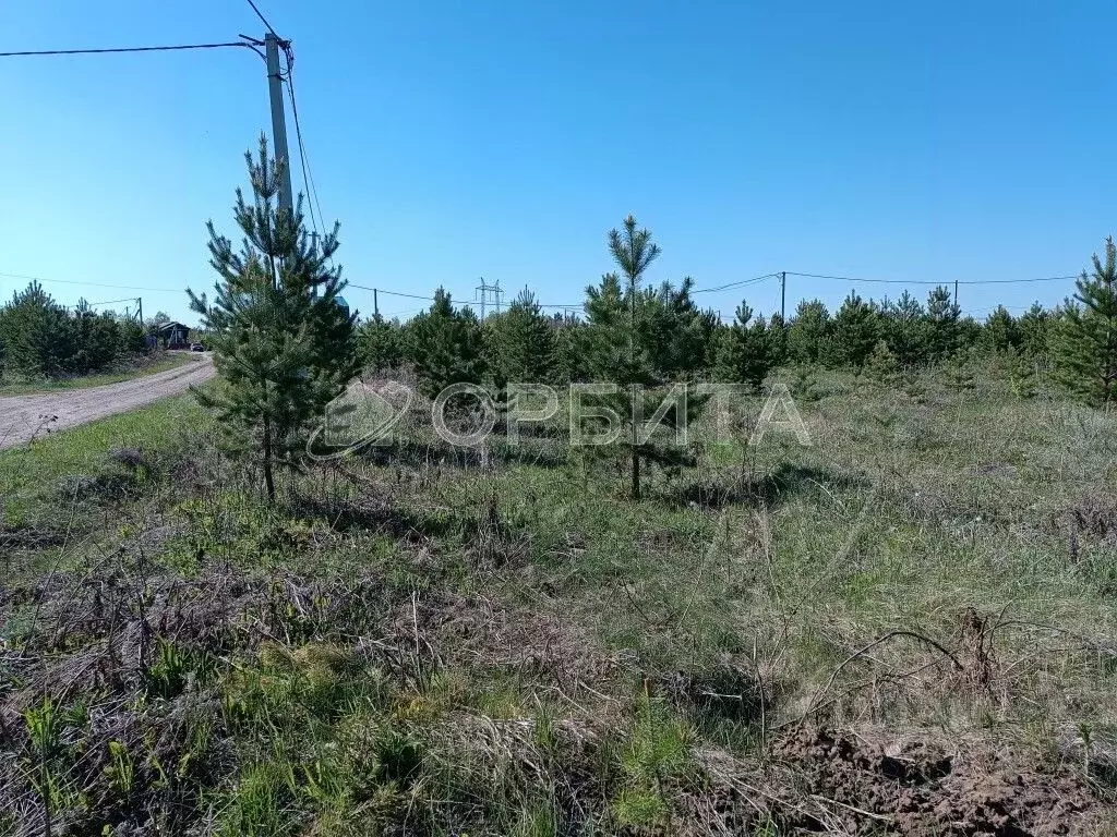 Участок в Тюменская область, Тюменский район, Онегин кп  (8.36 сот.) - Фото 1