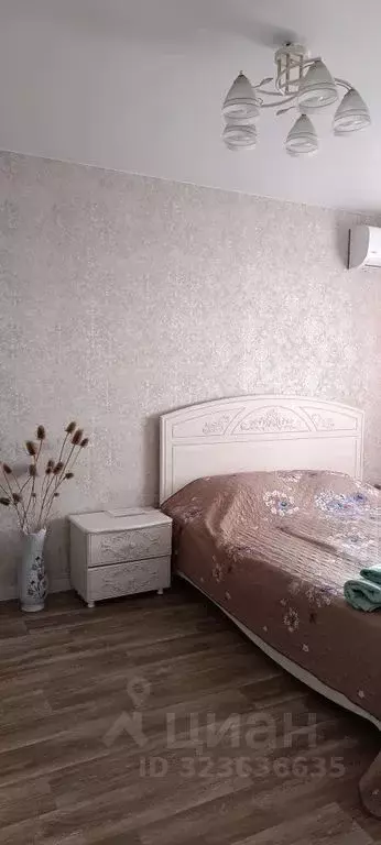 1-к кв. Нижегородская область, Бор ул. Фрунзе, 93 (32.0 м) - Фото 2