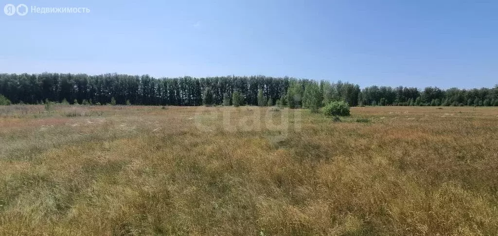 Участок в Омский район, село Усть-Заостровка (13 м) - Фото 0