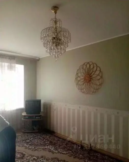 2-к кв. Новосибирская область, Новосибирск ул. Костычева, 19 (51.0 м) - Фото 0