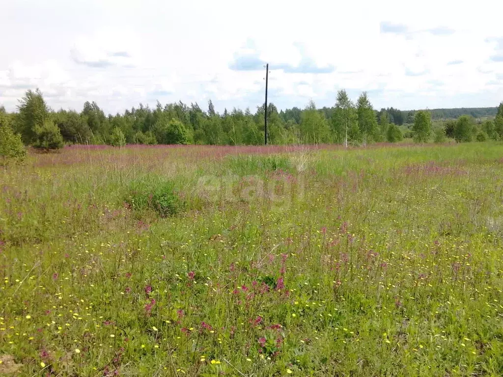 Участок в Калужская область, Спас-Деменский район, Павлиново с/пос, д. ... - Фото 1