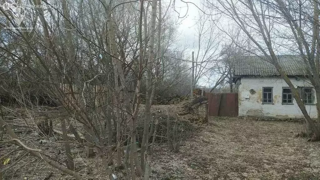 Дом в Рязанская область, Скопинский муниципальный округ, село ... - Фото 2