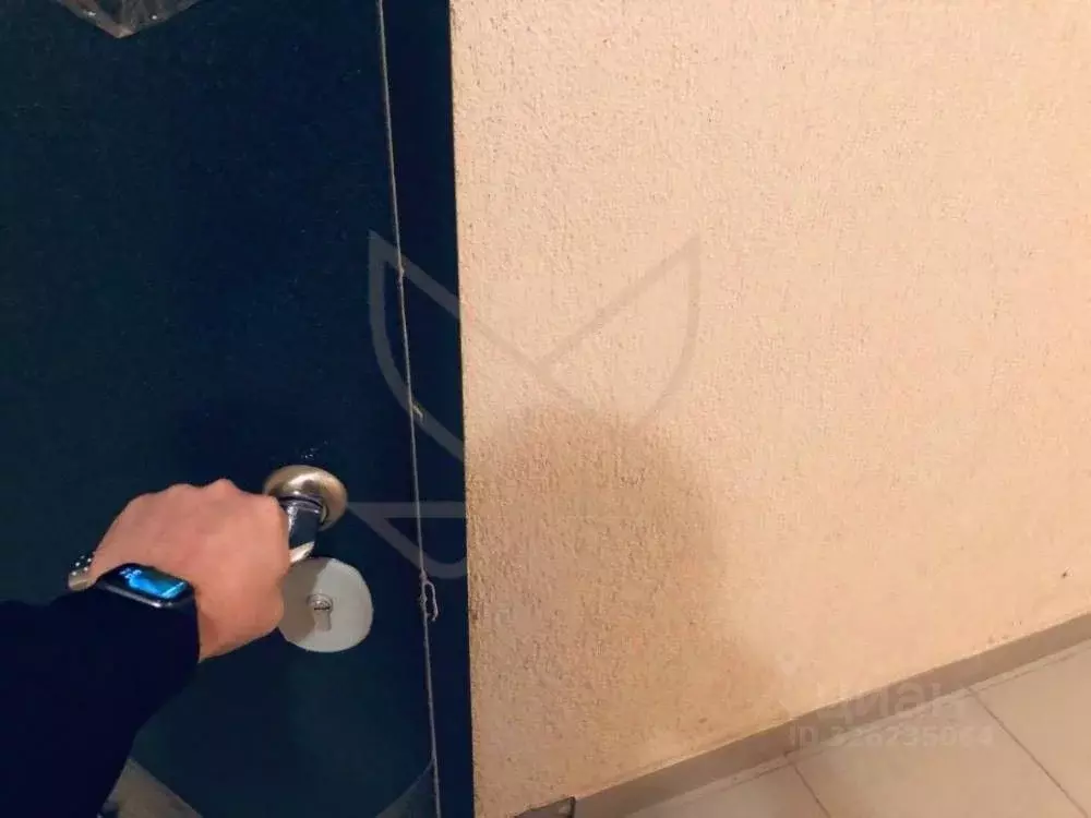 3-к кв. Ставропольский край, Пятигорск Оранжерейная ул., 21к2 (115.0 ... - Фото 2