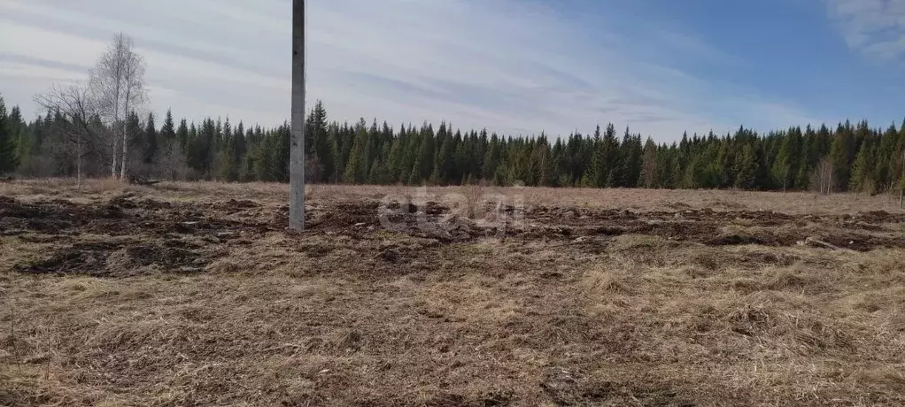 Участок в Свердловская область, Горноуральский муниципальный округ, ... - Фото 1