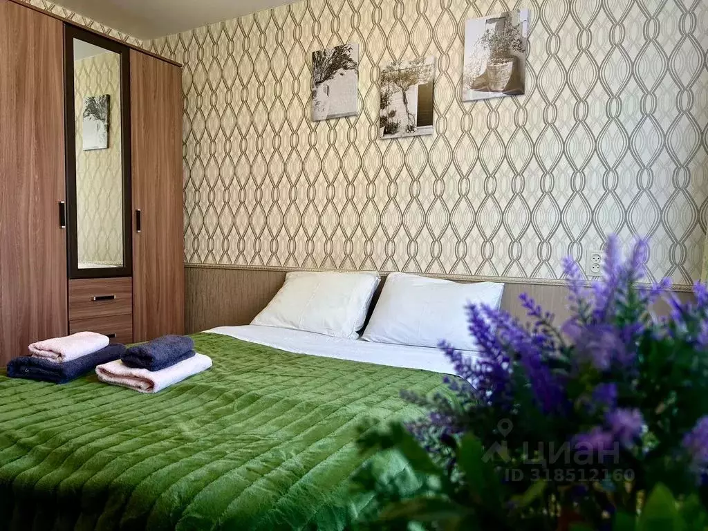 1-к кв. Приморский край, Владивосток Некрасовская ул., 48 (18.0 м) - Фото 1