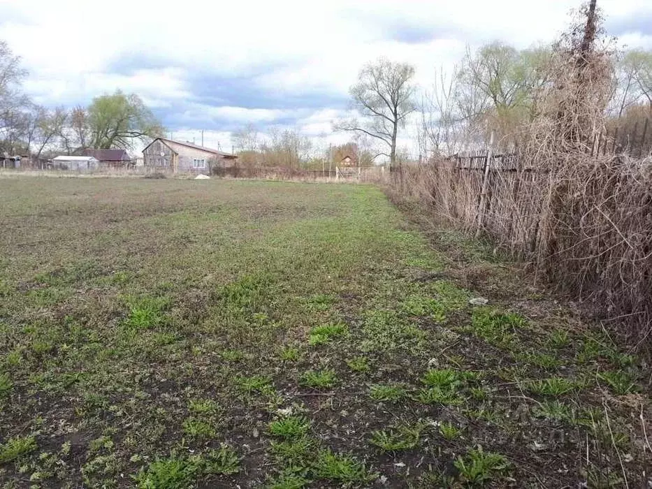 Участок в Самарская область, Ставропольский район, Нижнее Санчелеево ... - Фото 0