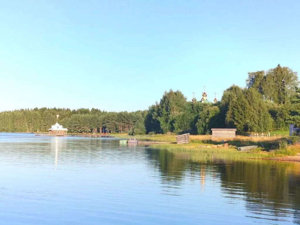 Участок в Карелия, Олонецкий район, Коткозерское с/пос, пос. ... - Фото 2
