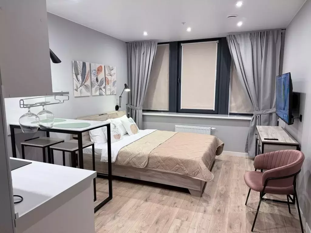 Студия Санкт-Петербург просп. Энергетиков, 2к2 (27.0 м) - Фото 0