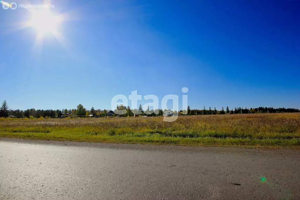 Участок в Свердловская область, Каменский муниципальный округ, село ... - Фото 2