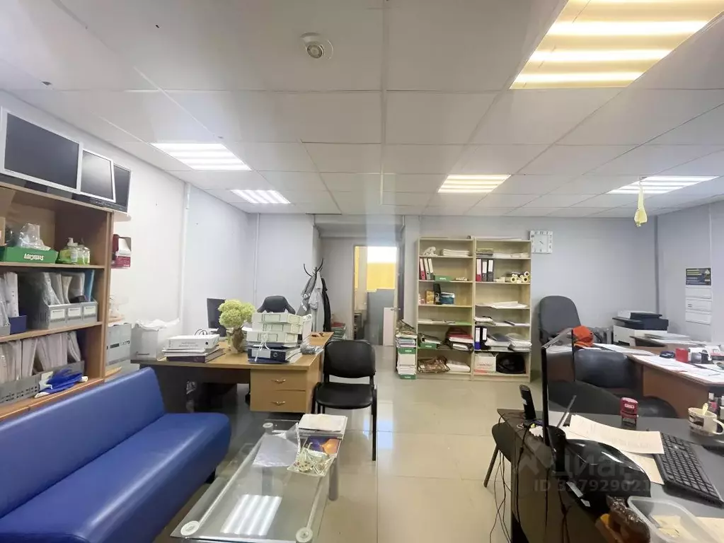 Помещение свободного назначения в Пермский край, Пермь ул. Яблочкова, ... - Фото 2