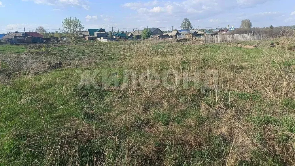 Участок в Новосибирская область, Колыванский район, д. Большой Оеш ул. ... - Фото 2