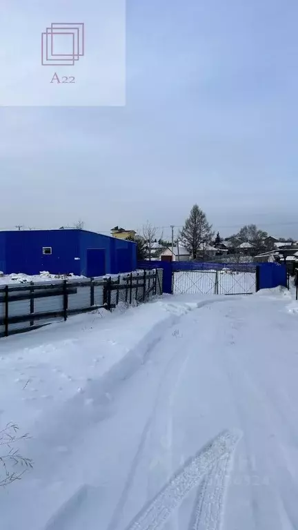 Участок в Алтайский край, Первомайский район, с. Фирсово ул. Песчаная, ... - Фото 2