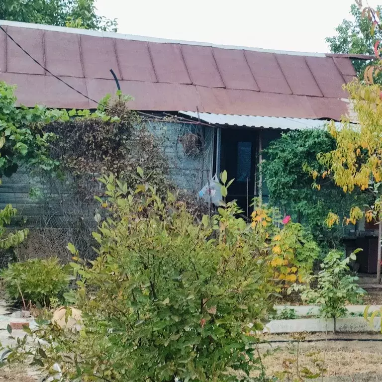 Дом в Астраханская область, Приволжский район, Электротранспортник СТ  ... - Фото 1