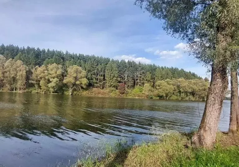Участок в Московская область, Можайский муниципальный округ, д. Троица ... - Фото 2