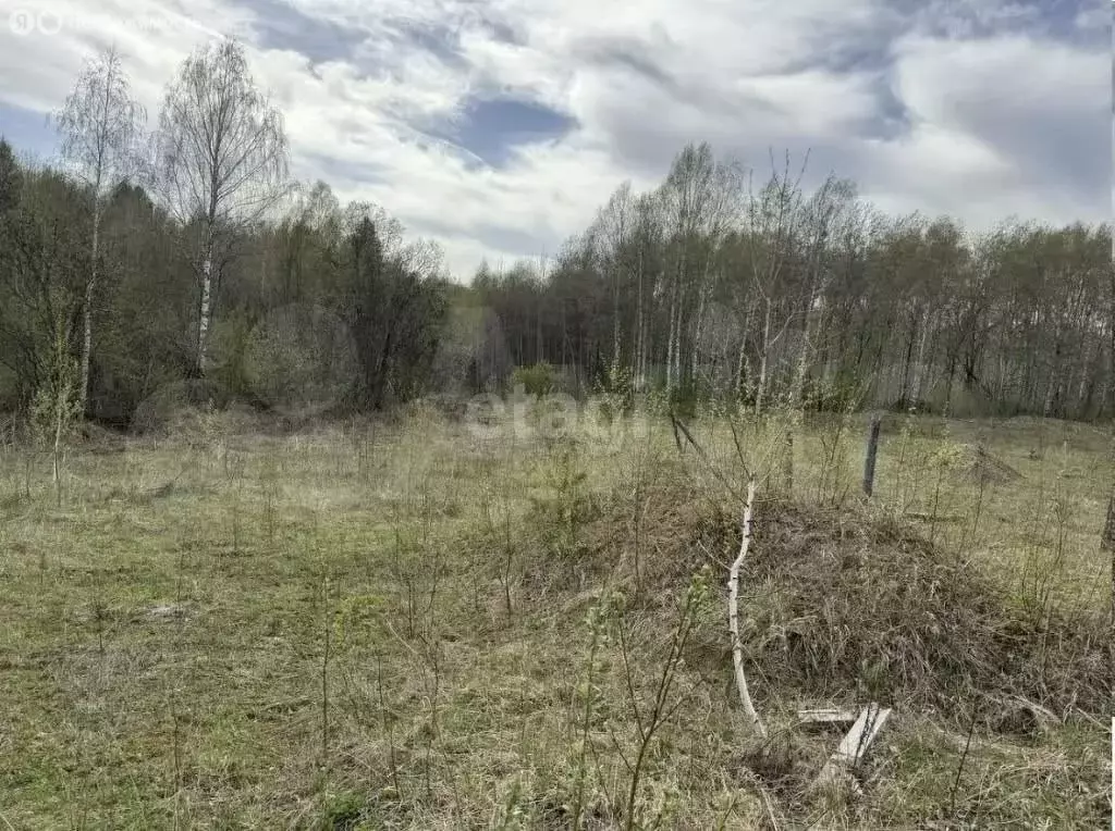Участок в село Корнилово, Берёзовая улица (10 м) - Фото 0