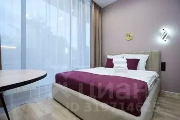 1-к кв. Нижегородская область, Нижний Новгород Ильинская ул., 13/2 ... - Фото 1