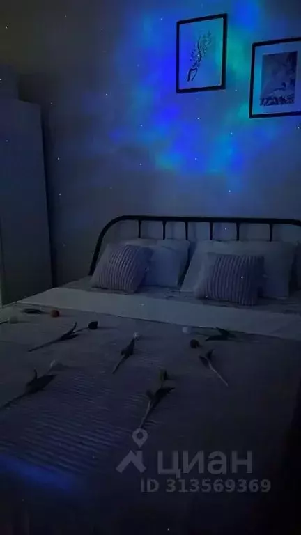 Студия Челябинская область, Челябинск ул. Братьев Кашириных, 111Б ... - Фото 2