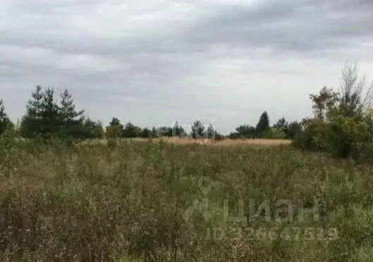 Участок в Воронежская область, Верхнехавский район, с. Углянец ул. ... - Фото 1