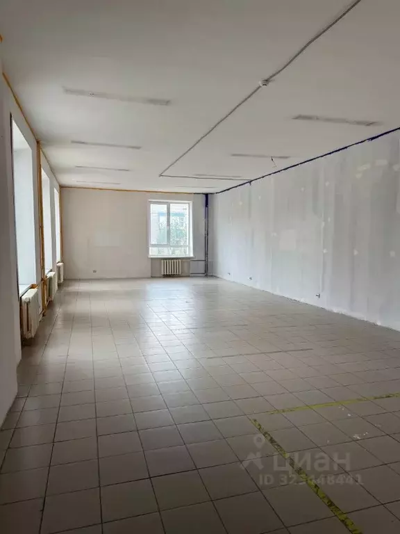 Помещение свободного назначения в Самарская область, Тольятти ул. ... - Фото 1