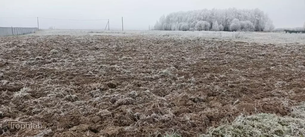 Участок в Марий Эл, Медведевский район, Азяковское с/пос, д. Шеклянур ... - Фото 1