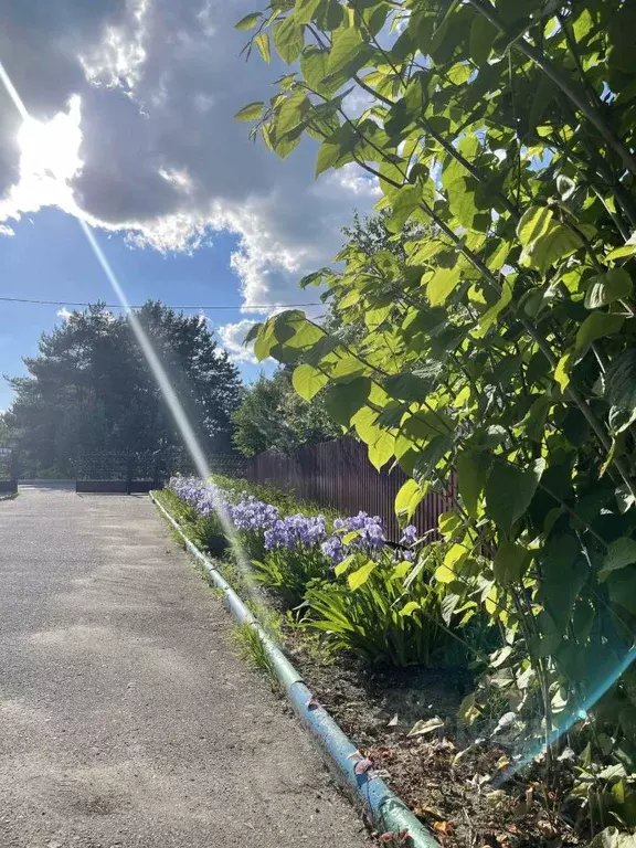Коттедж в Псковская область, Псковский район, Писковичская волость, д. ... - Фото 2