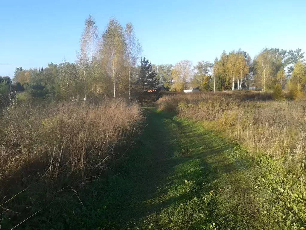 Участок в Псковская область, Пушкиногорский район, Пушкиногорье ... - Фото 1