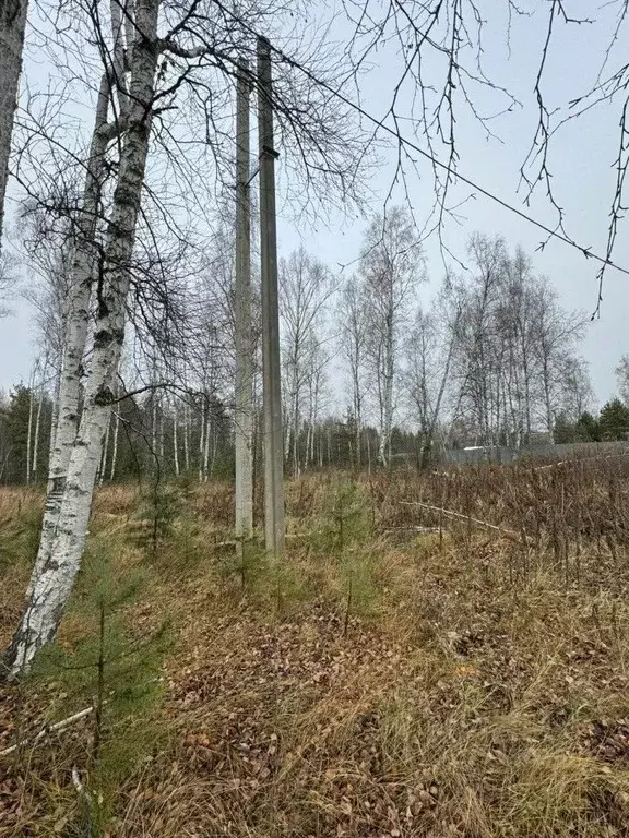 Участок в Свердловская область, Екатеринбург Юбилейный ДСК, 48 (16.4 ... - Фото 2