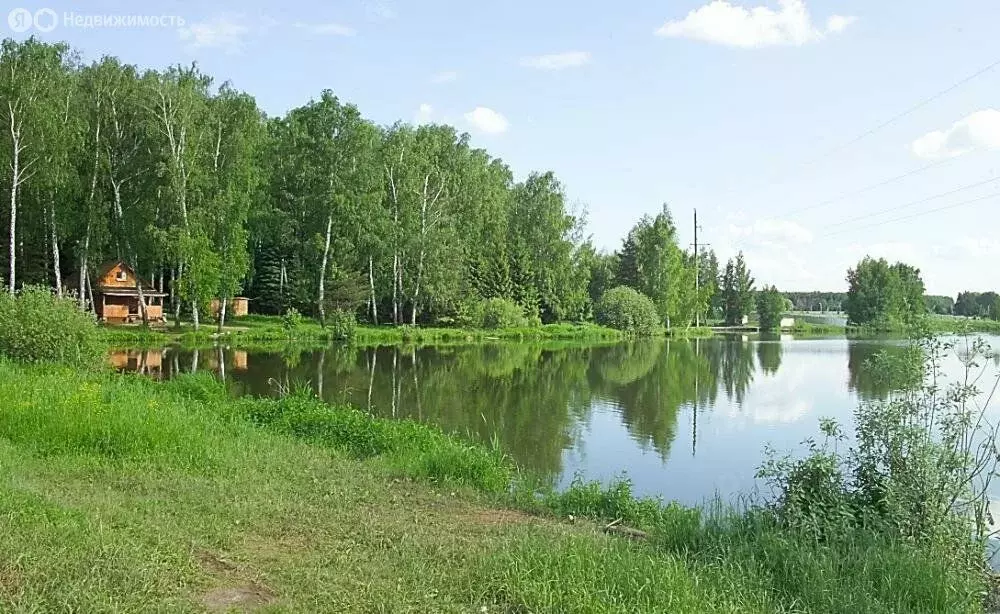 Участок в Московская область, Раменский муниципальный округ, с. ... - Фото 1