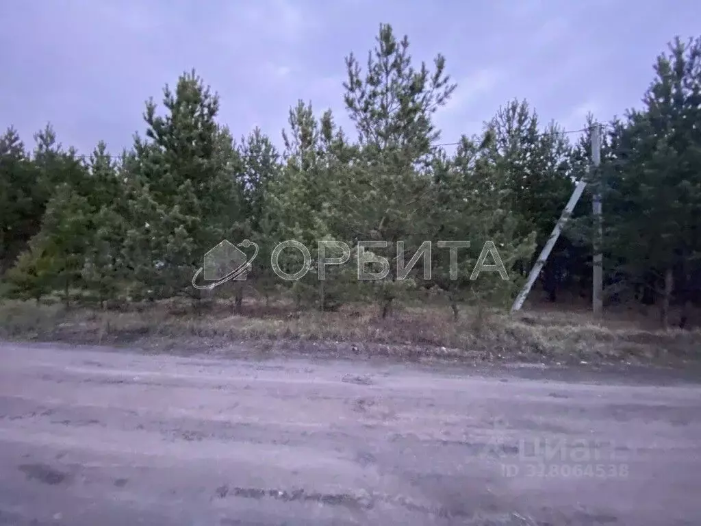 Участок в Свердловская область, Тугулым пгт пл. 50-летия Октября (13.0 ... - Фото 0