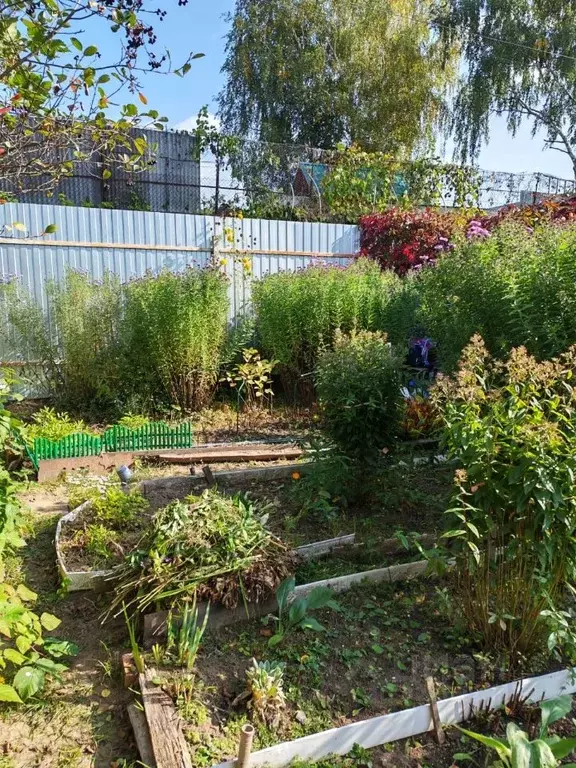 Участок в Московская область, Ивантеевка Пушкинский городской округ, ... - Фото 1