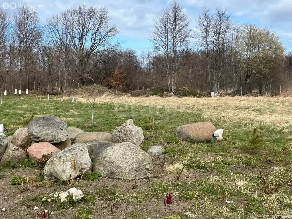 Участок в Калининградская область, Зеленоградский муниципальный округ, ... - Фото 2